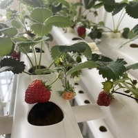 Meerlaags verticaal hydroponisch systeem, 3-laags thuistuinset met pomp en 108 gaten