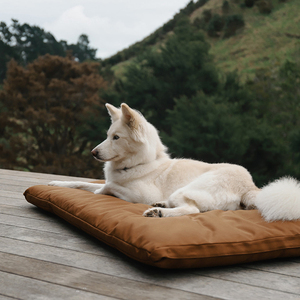Colchón de lujo moderno personalizado para mascotas, cama para interior y exterior, impermeable, transpirable, cojín de viaje para perros - Product Image 2