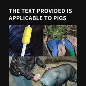 หลอดผสมเกสรสุกรแบบกำหนดเองสายสวนลึกที่เป็นมิตรกับทองพร้อมตัวล็อคและปลั๊กหาง - Product Image 6