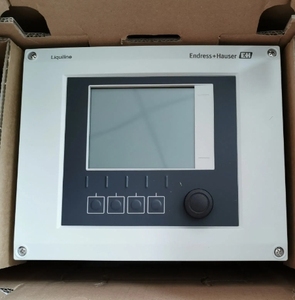 Endress+Hauser CM42-MAA000EAE00 1 canal, prix usine, produit très demandé - Product Image 4