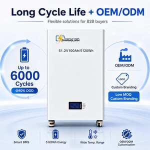 51.2V 100Ah LiFePO4 <b>Battery</b> Pack Wall Mounted Lithium Ion <b>Batteries</b> Pack for Solar Home Energy Storage System - Product Image 3