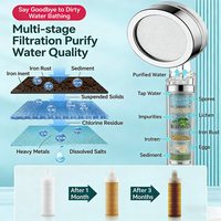 Pommeau de Douche Filtrant Haute Pression Portable avec Élimination du Chlore et Micro-bulles pour Voyage