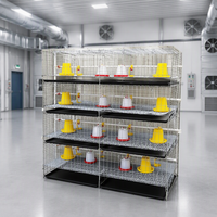 Cages à poussins WIN, cages d'élevage pour 20 000 poussins, 3/4 niveaux, type A, pour l'élevage avicole, conception directe usine