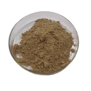 Ginkgo Biloba lá chiết xuất bột Ginkgo Biloba chiết xuất 10:1 20:1 - Product Image 4