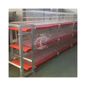 Design Commercial Broiler Chicken Cages With Cleaning System For Sale