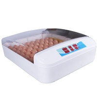 Incubateur automatique pour œufs de caille 55 avec certificat CE, couveuse, appareil commercial, certification CE