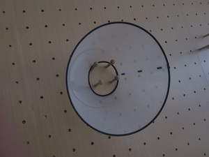 개 건강 회복을위한 친환경 투명 <span class=keywords><strong>PVC</strong></span> 엘리자베스 칼라 현대 인쇄 스타일 플라스틱 소재 - Product Image 6