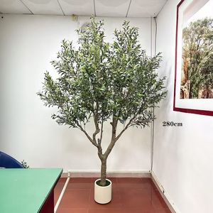 Grand <span class=keywords><strong>olivier</strong></span> artificiel <span class=keywords><strong>en</strong></span> <span class=keywords><strong>pot</strong></span> de 210 cm, 250 cm, 280 cm, grand <span class=keywords><strong>olivier</strong></span> <span class=keywords><strong>en</strong></span> plastique durable, toucher naturel, vert, utilisation <span class=keywords><strong>en</strong></span> extérieur et <span class=keywords><strong>en</strong></span> intérieur, faux <span class=keywords><strong>olivier</strong></span> - Product Image 5