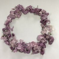 Pétales de fleurs de cerisier séchées de haute qualité 100% naturelles en vrac pour le thé