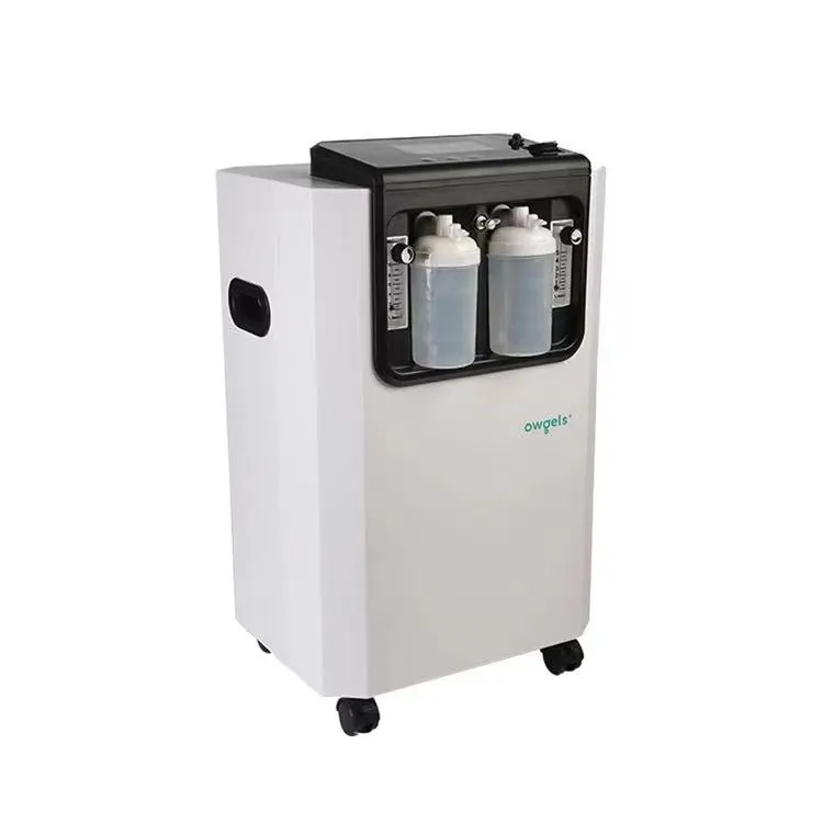 Manufacture whole sale Physical Therapy Equipments Purity Negative ion purification function 10L oxygen