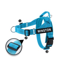 Arnés Personalizado para Perro Veltrio, Ajustable, Antideslizante, Tipo Bandeau, Triangular, Reflectante, con Parche de Nombre Personalizado