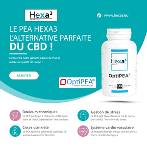 Extrait d'Herbes de Palmitoyléthanolamide 90 Capsules 400mg pour 30 Jours – Amélioration de l'Anémie Nutritionnelle et Supplémentation - Product Image 2