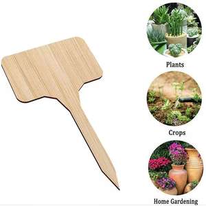 Marcatore di etichettatura a forma di T personalizzato accessori da giardino etichetta da giardino in legno di bambù etichetta per piante fai da te etichetta per vigneto - Product Image 6