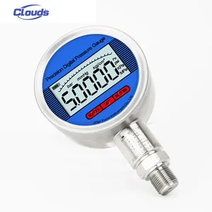 Clouds RS485 Communication 0.2% 0.5%FS Accuracy 4-20mA Output Digital Oil Pressure Gauge