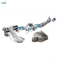 Nieuwe complete productielijn voor de verwerking van fruit en groenten, machine voor het produceren van fruit- en groentesap
