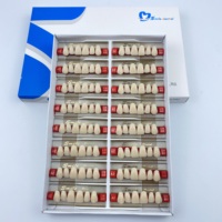 Dents de prothèse antérieure en acrylique 2 couches disponibles OEM