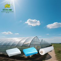 Film de serre 100-200 microns anti-âge en LDPE moulé par soufflage pour jardin commercial