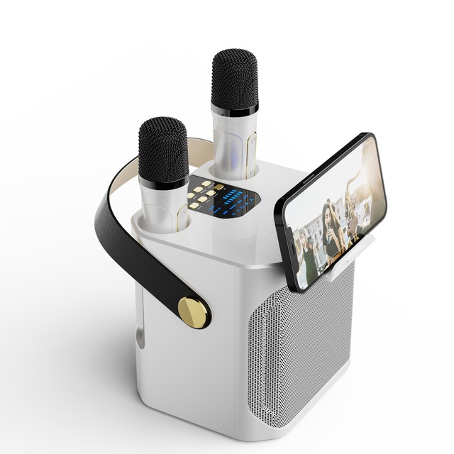 S882  Speaker, Outdoor Karaoke Speaker, High Volume, Home Use, Dual Microphone Karaoke All-in-One Machine