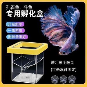 Incubateur carré pour poissons, boîte d'isolement flottante rectangulaire en plastique jaune et bleu pour l'élevage en aquarium - Product Image 4