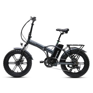 Vélo électrique JLM E14 48V avec moteur sans balais, 14 pouces, ultra-léger, petit, pliable, portable, 350W, IPX5, batterie au lithium sans balais à l'avant - Product Image 2