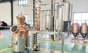 Équipement de distillation multifonctionnel en acier inoxydable de 300 L, <span class=keywords><strong>kit</strong></span> de distillerie industrielle <span class=keywords><strong>pour</strong></span> la vodka, le <span class=keywords><strong>rhum</strong></span>, le whisky, <span class=keywords><strong>pour</strong></span> usage commercial - Product Image 3