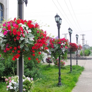 กระถางพลาสติกสำหรับตกแต่งเสาไฟ ตกแต่งเสาโคมไฟด้วยต้นไม้และดอกไม้ - Product Image 6