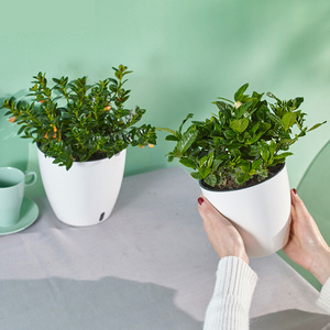 Maceta Blanca con Autorriego para Plantas Verdes y Ornamentales, Diseño Minimalista Creativo, Suministro Directo <span class=keywords><strong>de</strong></span> Fábrica para Personas con Poco Tiempo - Product Image 1