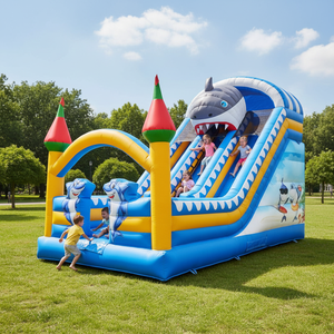 Petit toboggan gonflable, château gonflable, modèle B-02, pour enfants, idéal pour les supermarchés, les centres commerciaux et les résidences, produit très vendu - Product Image 1