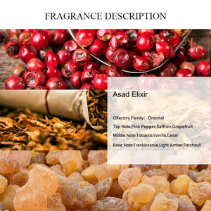 Huile de Parfum Asad <span class=keywords><strong>Elixir</strong></span> UNIQUE <span class=keywords><strong>AROMA</strong></span> 2026 Nouvelle Arrivée Vente en Gros Huile Essentielle Marque Privée Longue Durée Marque Célèbre - Product Image 2