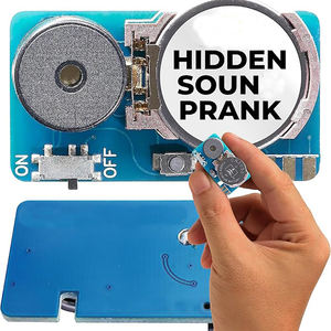 Nouveauté Gag Toys Hidden Prank Noise Mini Beeping Cricket Noise Maker Prank - Product Image 1