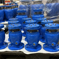 Válvula de Liberación de Aire Automática de Alto Rendimiento Personalizada, de Hierro Dúctil, de Una o Dos Orificios, para Sistemas de Agua y Alcantarillado, PN16 PN25 OEM