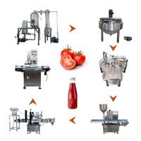 Machine d'extraction de sauce tomate/Machine d'emballage de pâte de tomate/Ligne de production automatique de pâte de tomate
