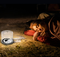 Lanterne gonflable solaire portable et pliable à 10 LED avec logo personnalisé, rechargeable, solutions d'éclairage solaire pour le camping, facile à utiliser