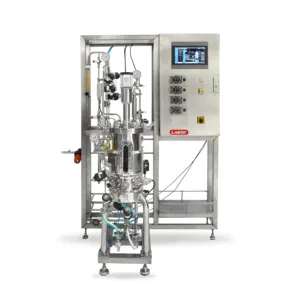 Source Bioreactor Manufactures Automatic Fermenter Bioreactor 100l 300l 500l Price