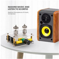 Taidacent DIY gitar tüp amplifikatör 6A2 6K4 5654 vakumlu tüp ön amplifikatör kurulu safra tampon Amp hoparlör HIFI tüp amplifikatör