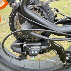 Petit vélo électrique pliant portable <span class=keywords><strong>Ezreal</strong></span> FD03 le plus vendu avec cadre caché de moteur Bafang de batterie au lithium de 48V 10.4Ah - Product Image 5