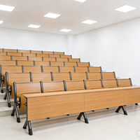 Chaise pliable pour cinéma, auditorium, salle de conférence, avec assise en contreplaqué de 1,4 cm, structure en acier, retour amorti, dossier relevable, certifiée CE IOS