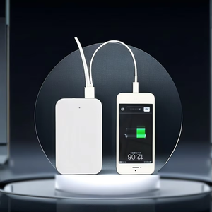 Batterie externe mobile d'urgence 3AA, boîte de batterie sèche 3 cellules au <span class=keywords><strong>nickel</strong></span>-hydrogène n ° 5, <span class=keywords><strong>banque</strong></span> d'alimentation pour téléphone portable - Product Image 2