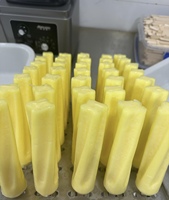 Moules à Popsicle Ataforma brésiliens en acier inoxydable 304 Nouvelle condition pour la fabrication de sucettes glacées à base de fruits