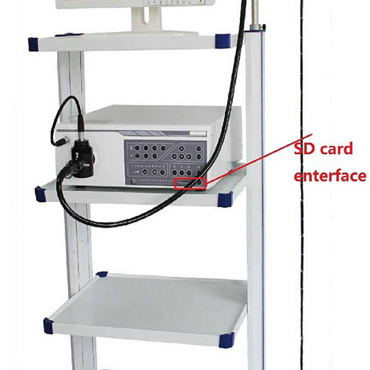 Veterinary Animal Endoscope I M-LGM0790