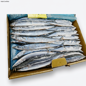 Sgombro del Pacifico Selvatico Cololabis Saira Congelato Intero, Conservato in Acqua, Confezionato per Inscatolamento e Grossisti di Pesce Congelato - Product Image 1