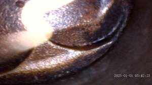 Caméra d'inspection endoscopique industrielle avec sonde articulée, caméra flexible à fibre optique pour l'inspection des murs et de véhicules - Product Image 6