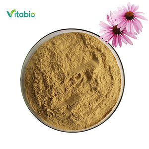 %100 Organik Polifenol Doğal Ekinezya Özü Ekinezya Purpurea Özü Tozu %1 %4 Polifenol Ekinezya Özü - Product Image 1