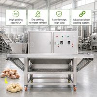 Machine industrielle de fabrication alimentaire Food Air Pakistan pour l'épluchage de l'ail et le traitement des mini-oignons