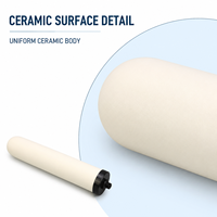 Filtre à eau en céramique en gros avec connecteur mâle noir pour pièces de rechange de purificateur domestique