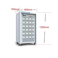 100V10V 20A 50A 60a 100a 60V Batterie au Lithium Ebike Lifepo4 Cellule Chargeur Charge Décharge Cycle Testeur Test Vieillissement Machine
