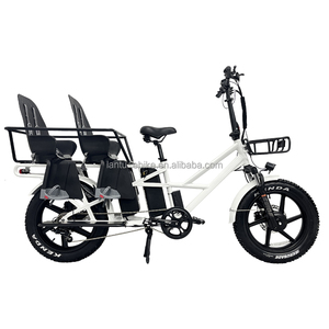 Consegna <span class=keywords><strong>bicicletta</strong></span> <span class=keywords><strong>elettrica</strong></span> con cestini anteriori e posteriori bici da carico <span class=keywords><strong>per</strong></span> pneumatici grassi da 20 pollici con doppia batteria - Product Image 5