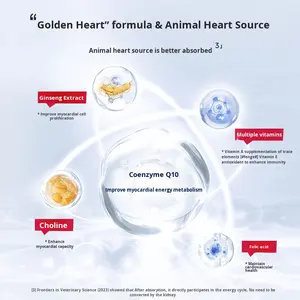 Vente en gros Coenzyme Q10 Capsule Supplément pour animaux de compagnie pour Chien Chat Personnes âgées Coeur d'animal de compagnie Hypertrophie du myocarde Soutien Application aux puces et aux oiseaux - Product Image 4