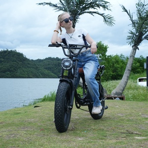 Xe đạp điện nữ 500W mới năm 2025, 15.6Ah, xe đạp điện đô thị, đi làm hàng ngày, lốp béo, xe đạp điện thành phố, xe đạp điện dành cho người lớn - Product Image 5