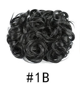 #1B